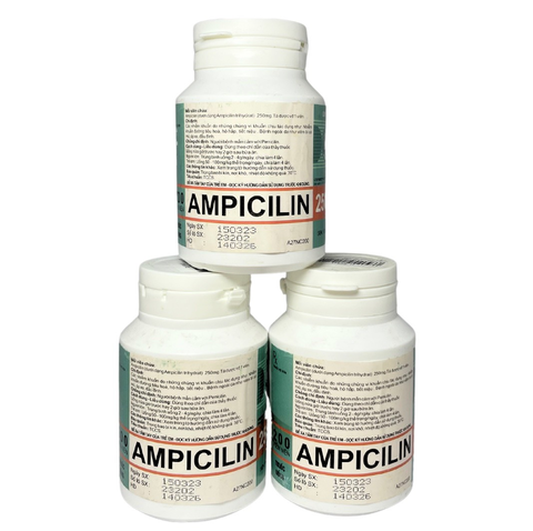 Ampicilin 250mg (chai 200 viên nén) TW1