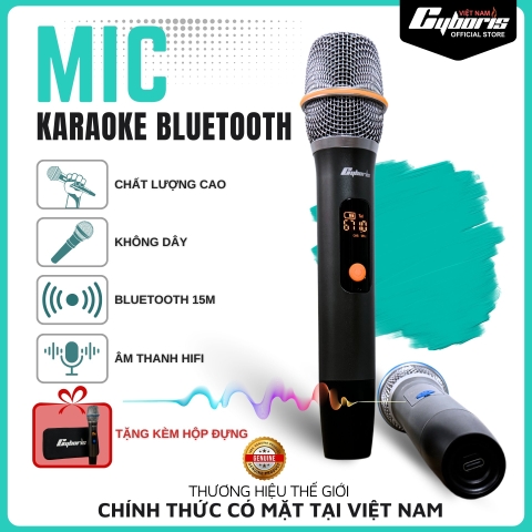 02 Micro Loa Cyboris X12