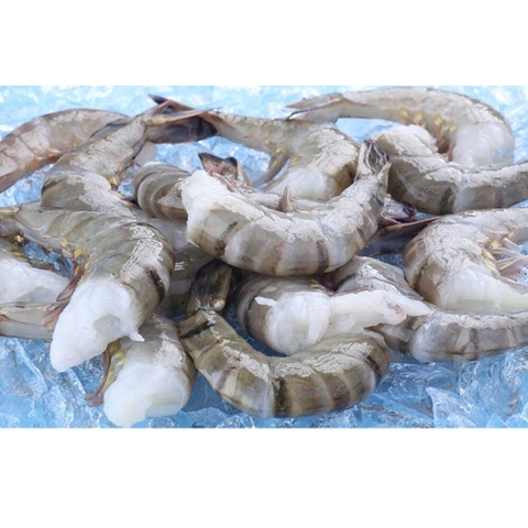 Raw Black Tiger HLSO Shrimp