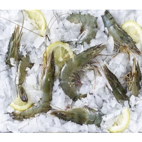 Raw Black Tiger HOSO Shrimp