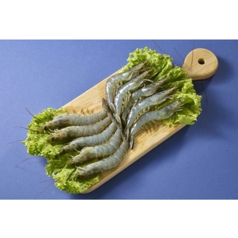 Raw Vannamei HOSO Shrimp
