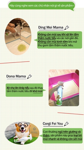 Xịt Khử Mùi Diệt Khuẩn(Dành Cho Chó)/ Odor Removing Anti-Bacterial Spray(For Dog)