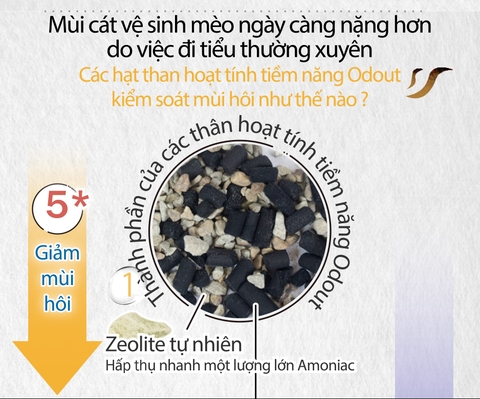 Than Hoạt Tính khử mùi cát mèo Odout 80g - Potent Activated Carbon Granules