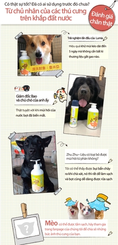 Dầu tắm gội khử mùi cho Chó&Mèo/ Deodorizing Pet Shampoo 500ML