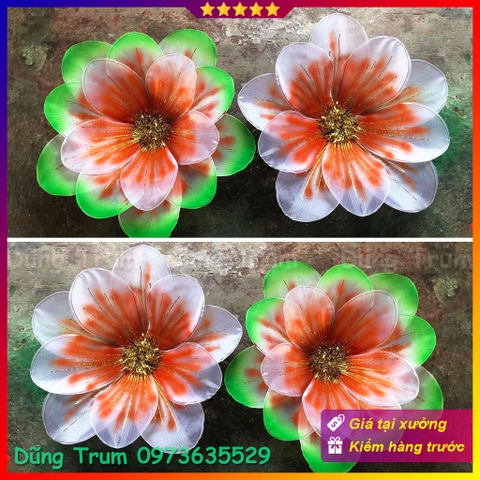 Hoa múa có chun dưới đế cầm tay chất liệu nan sắt đàn hồi siêu bền