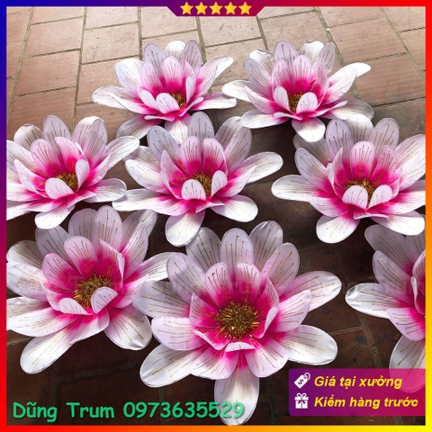 Hoa cúc múa 21 cánh phối màu siêu đẹp, nan sắt đàn hồi cực bền