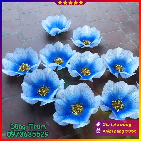 Hoa múa biểu diễn 40cm 10 cánh