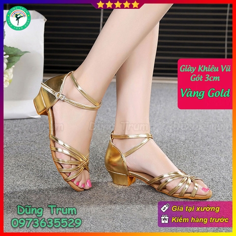 Giày khiêu vũ 3cm đế da lộn, giày nhảy Dancesport KV22