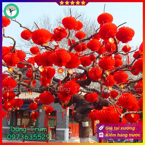 COMBO 10 Đèn Lồng Đỏ trang trí Tết chữ Phúc chất liệu chống nước