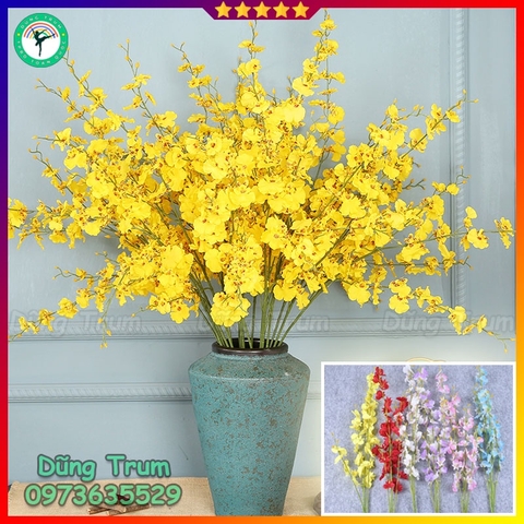 Hoa Lan Vũ Nữ Trang Trí Gồm 5 Nhánh Dài 1m Đủ Màu Sắc
