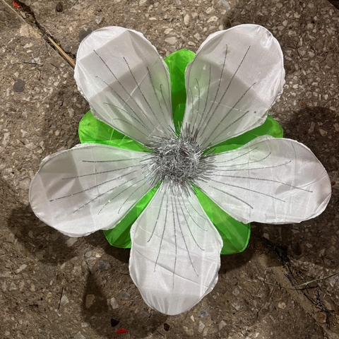 Hoa Ban Trắng múa cầm tay có chun dưới đế kích thước 60cm