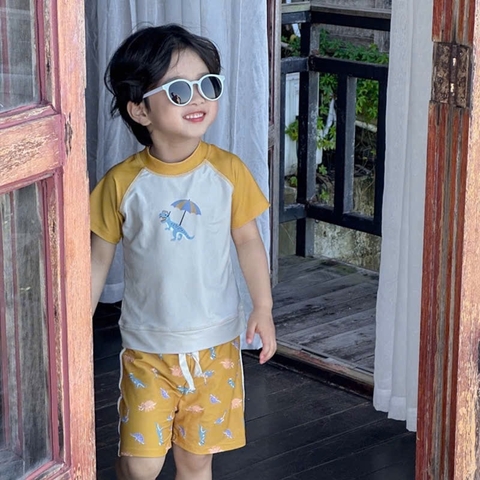 TL - Bộ bơi phối tay in hoạ tiết khủng long(S-XXXL)