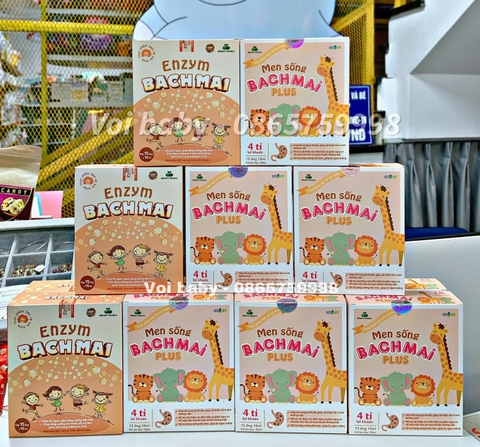 BẠCH MAI - ENZYM