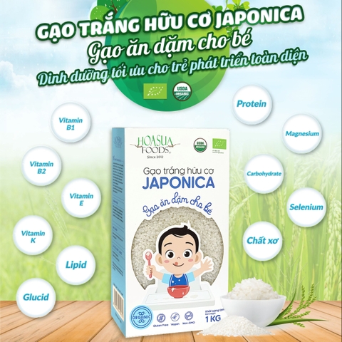 HOA SỮA FOODS - 5M+GẠO TRẮNG HỮU CƠ JAPONICA