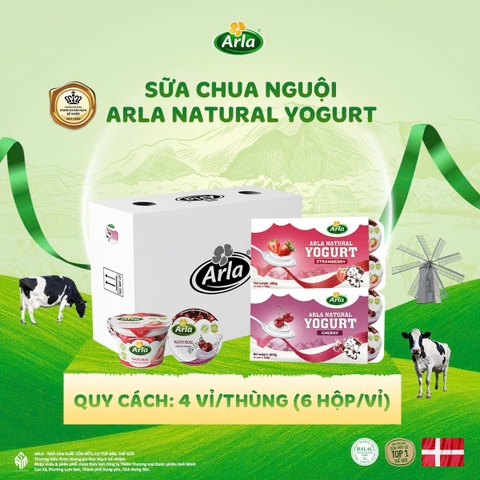 ARLA - 1Y+SỮA CHUA