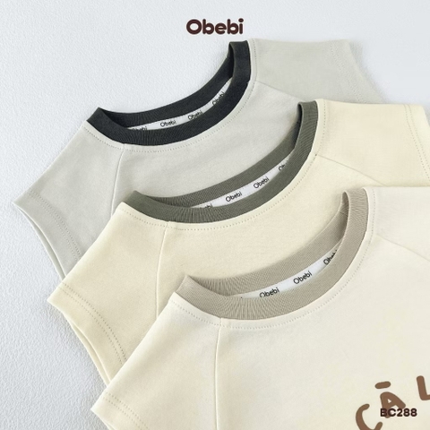 OBEBI - Bộ cộc tay ragla in hình (66-110)