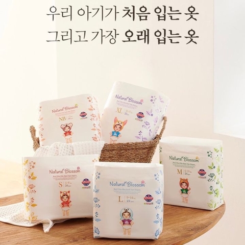 BLOSSOM - BỈM NỘI ĐỊA HÀN NATURAL