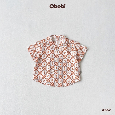 OBEBI - Áo sơ mi linen đi biển OBEBI (73-120)