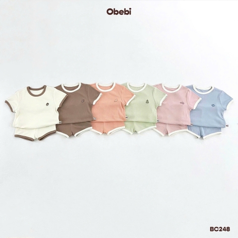 OBEBI - Bộ cộc in Quả (66-110)