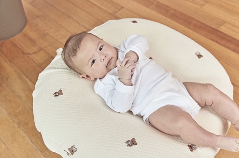 ROTOTO BEBE - GỐI CHỐNG TRÀO AIRMESH GỖ SỒI NGUYÊN KHỐI