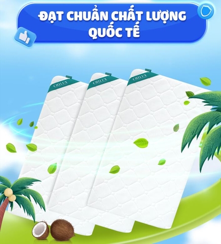 CHILUX - NỆM XƠ DỪA