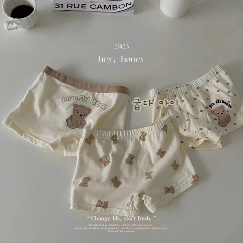 SA Set 3 quần chip đùi Gấu nâu (100-150)