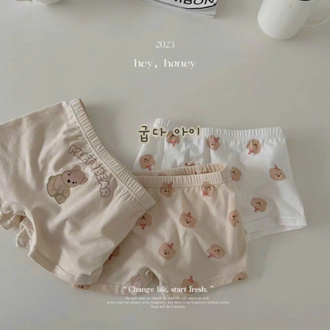 SA Set 3 quần chip đùi Gấu nâu đội mũ đỏ (100-150)