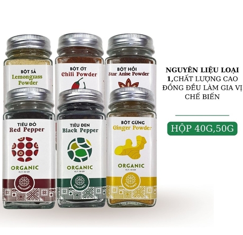 VINASAMEX - 6M+BỘT GIA VỊ HỮU CƠ