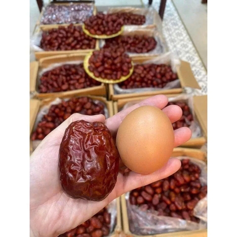 KAZA - 6M+TÁO ĐỎ TÂN CƯƠNG THƯỢNG HẠNG