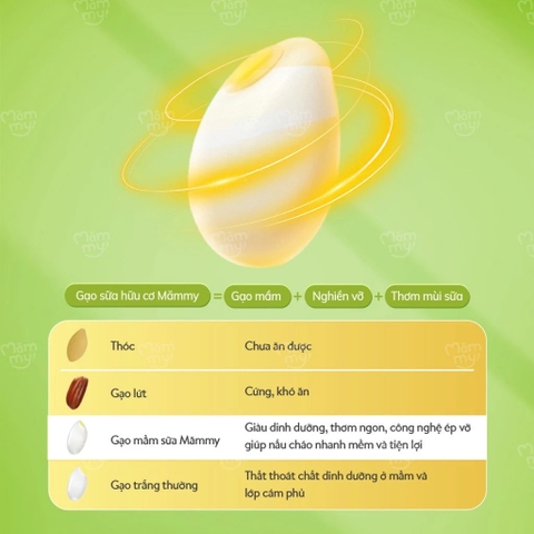 MAMMY - 6M+GẠO SỮA ĂN DẶM