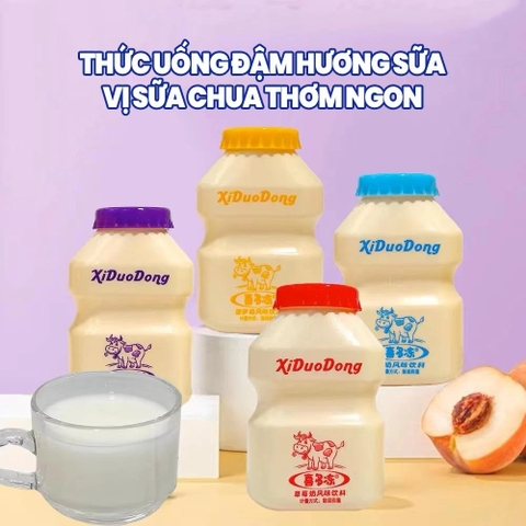 XIDUODONG - 1Y+SỮA CHUA UỐNG LÊN MEN