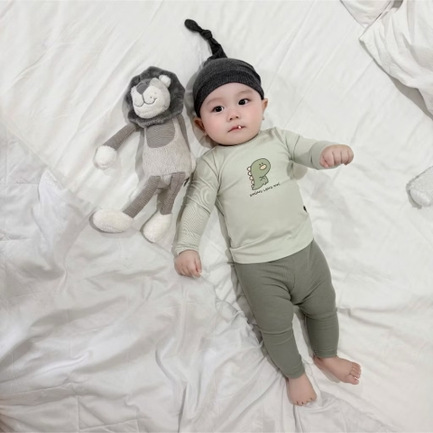 OBEBI - Bộ dài tay phối màu khủng long(66-110)