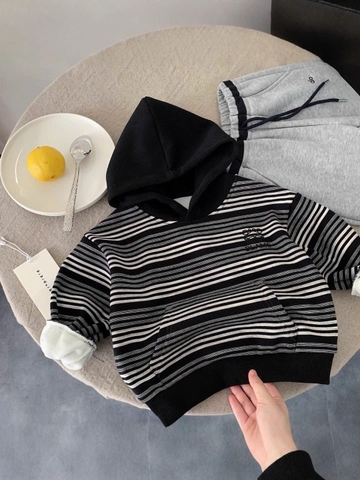 LB - Áo Hoodie nỉ kẻ lót nỉ(90-150)