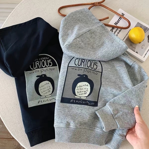 BK - Áo Hoodie Curious (90-150)