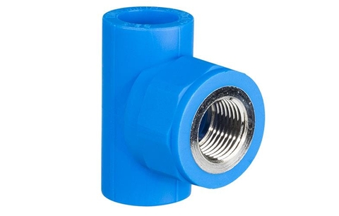 Tê Ren Trong PPR Bình Minh