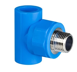 Tê Ren Ngoài PPR Bình Minh