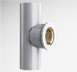 Tê Ren Trong Thau PVC Bình Minh