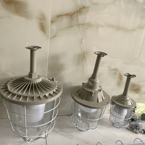 Máng Đèn Led Bulb Chống Nổ gắn trần D2450/H470, 38W/E40 EXII BT06