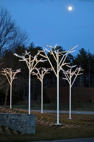 Cột Đèn Trang Trí Công Viên Ghép Nhiều Cành Cây Phát Sáng Cao 6M ZCV ZALAA LED Tree Lights