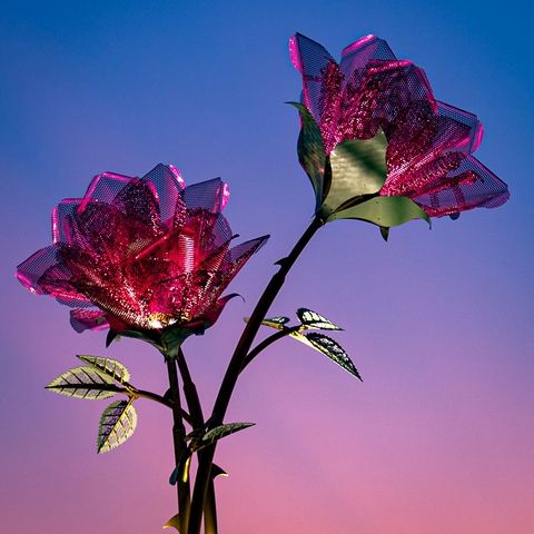 Cột Đèn ZALAA Kiểu Bông Hoa Hồng Trang Trí Nghệ Thuật Chiếu Sáng Cho Dự Án Công Viên Ánh Sáng