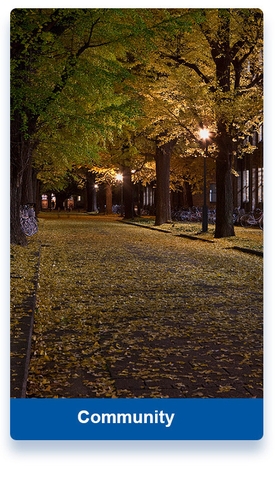 Cột Thông Minh ZBS-Smart Pole 01Y ZALAA OEM/ODM cho Smart Park, Square, Community