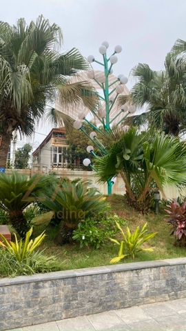 Cột Đèn Trang Trí Cây Thông 30 Tay Quả Cầu D200 Đủ Màu Sắc Cao 5M ZALAA