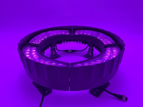 Đèn LED Vòng Tròn Gốc Cây Xanh ZRCIOT Module M18