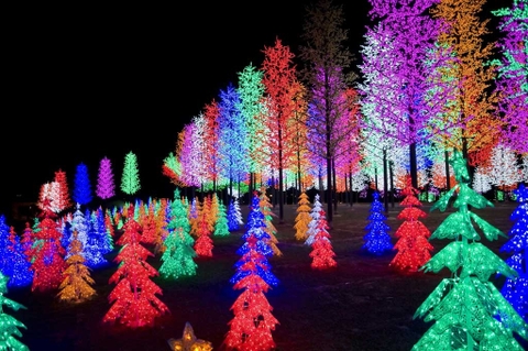 Cột Đèn Trang Trí Cây Thông Cao 7M LED F5 Chiếu Sáng Trung Tâm Thương Mại