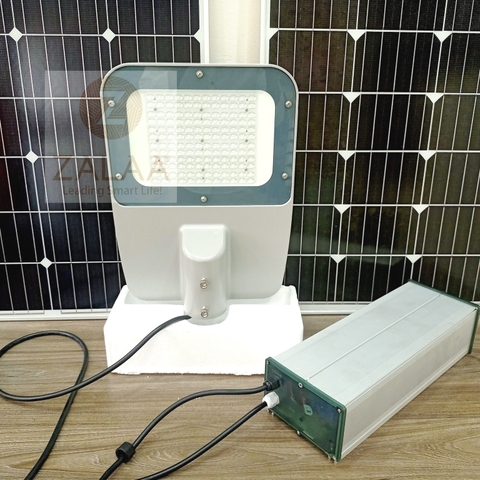 Bộ Đèn Đường Năng Lượng Mặt Trời 100W Mã Sản Phẩm ZSL-1302 Panel 160w Mono * 2pcs Battery 80AH 12.8V Bộ điều khiển Max100W