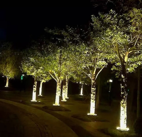 Đèn LED Vòng Tròn Gốc Cây Xanh ZRCIOT Module M12