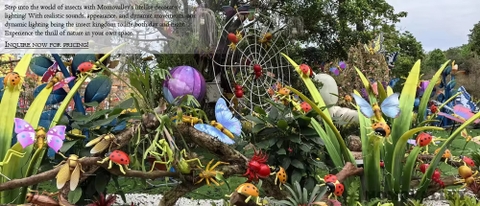 Đèn LED ZALAA Mô Phỏng Con Bọ Rùa - Bảy Sao Năng Động Cho Dự Án Cảnh Quan Sân Vườn