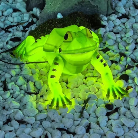 Đèn LED ZALAA Mô Phỏng Hình Con Ếch Frog Năng Động cho Vườn Ánh Sáng / Light Garden