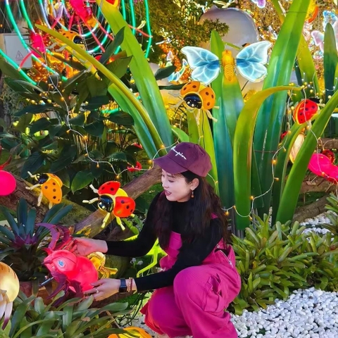 Đèn LED ZALAA Mô Phỏng Hình Nhện Năng Động Cho Dự Án Chiếu Sáng Cảnh Quan Sân Vườn