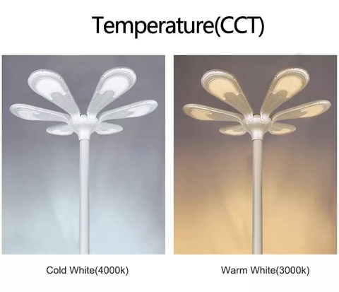 Đèn Năng Lượng Mặt Trời Solar Garden ZG-TYD5005 ZALAA Cho cột cao 6-10m Chiếu sáng đường phố